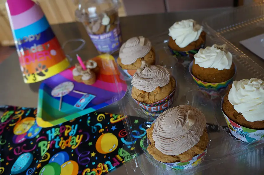 dog birthday party - canine cupcakes