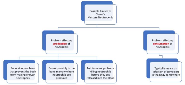 neutropenia in dogs