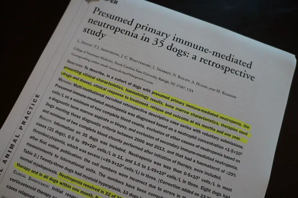 presumed primary immune-mediated neutropenia in 35 dogs paper