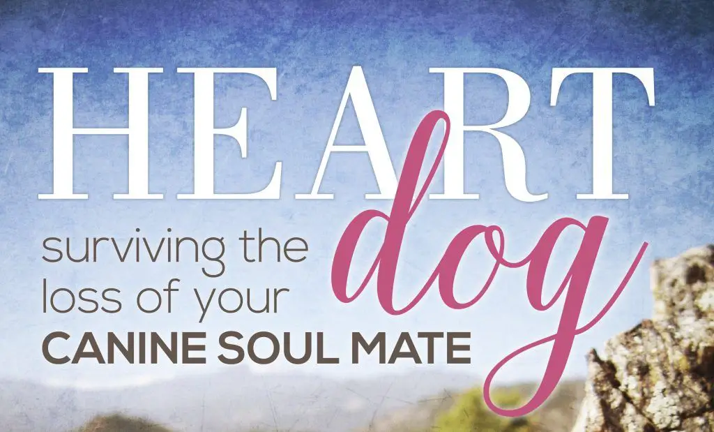 heart dog book cover text
