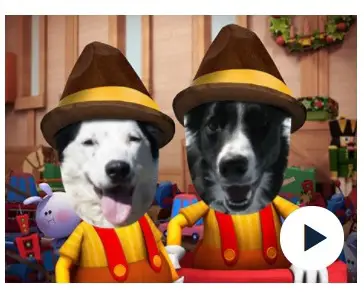 silly holiday videos with dogs