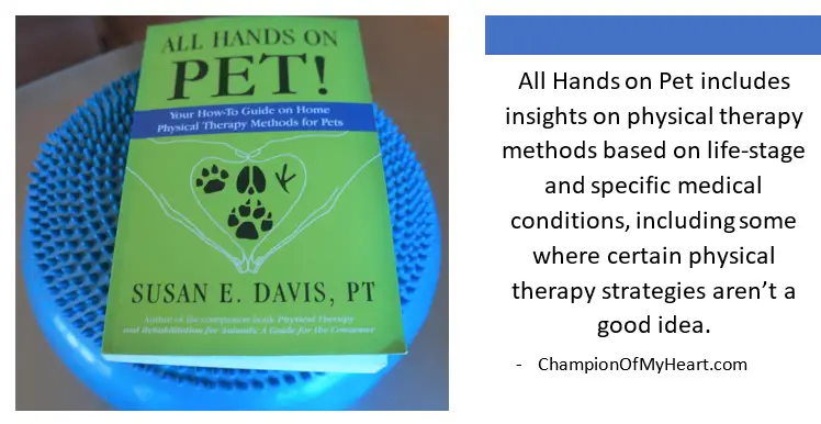 all hands on pet book review