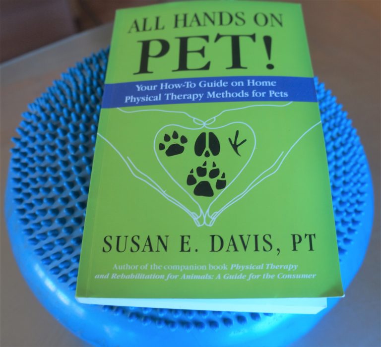 all hands on pet book review photo