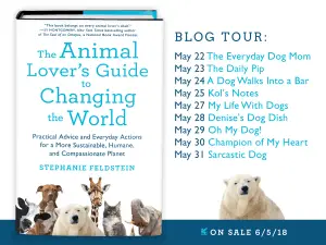 book review animal lovers guide to changing the world blog book tour