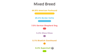dog dna test results mr stix breed percentages
