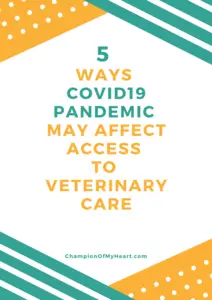COVID19 Pandemic May Affect Access to Veterinary Care