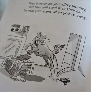 inside book - laundry page showing dog stealing clothes