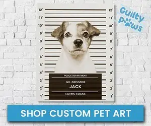 image of fun dog mugshot type portrait