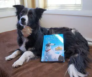 long nose legacy book review image 1 - border collie with book propped up against her