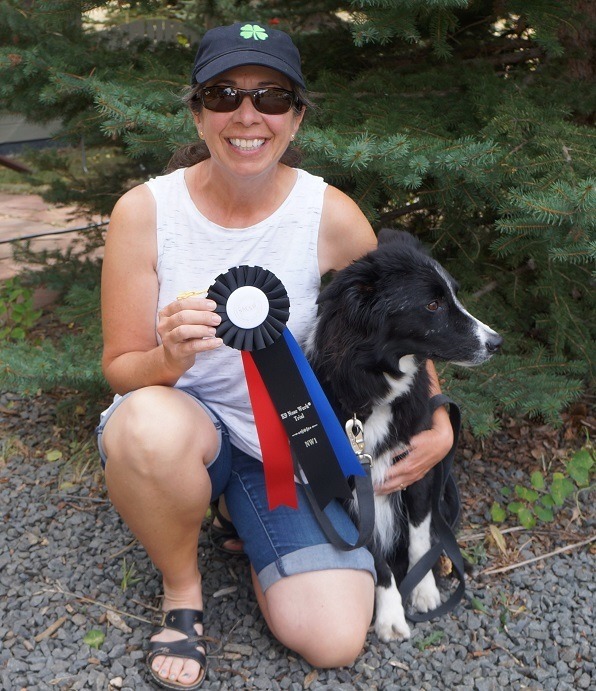 canine nosework - person holding a dog sport ribbon with border collie alongside