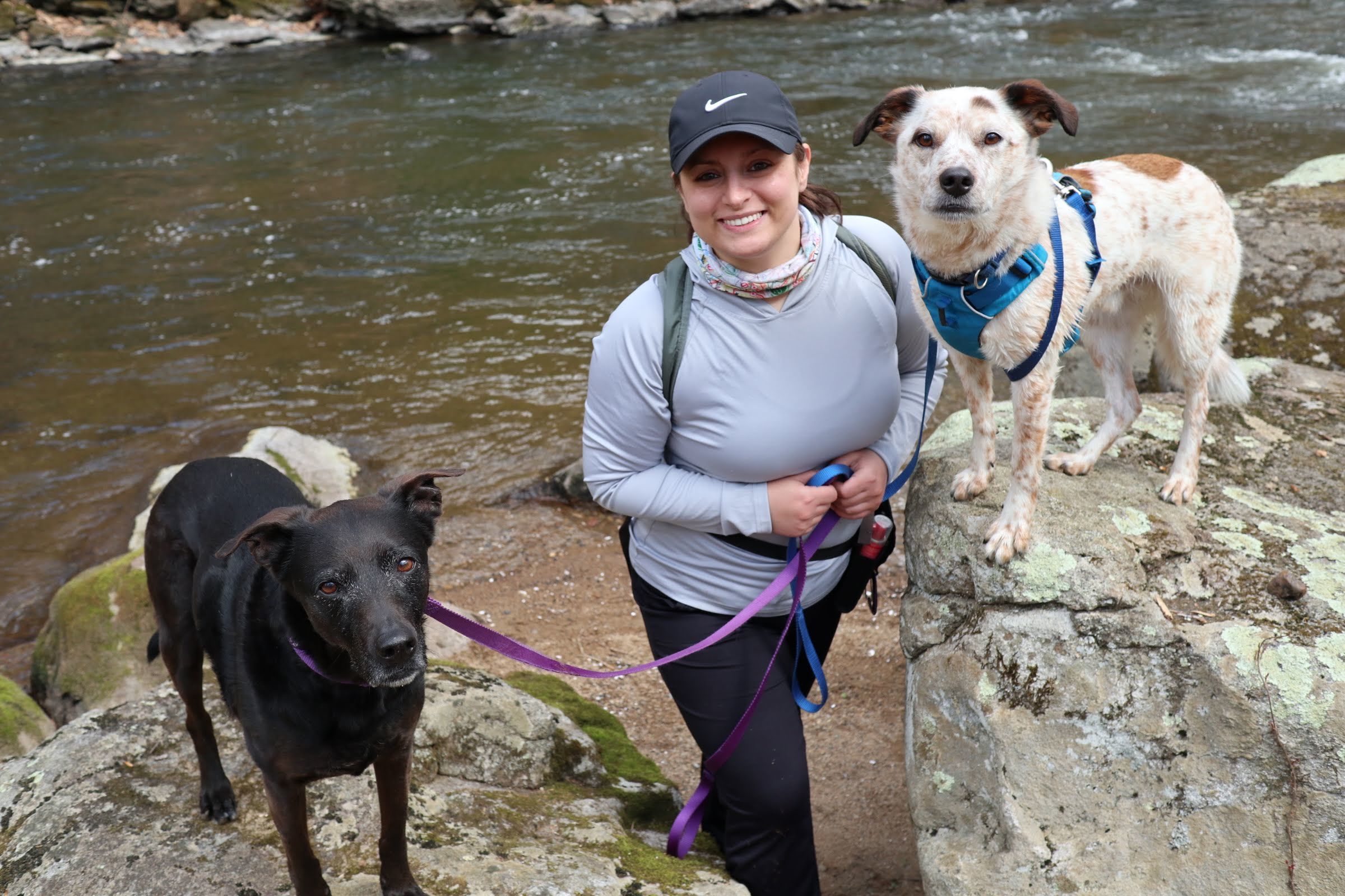 dog commercial Q&A photo - black dog on a rock, woman in the middle, cream colored cattle dog mix on another rock with stream or river behind them