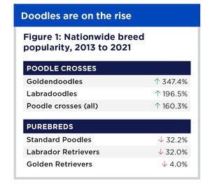 doodle data chart #1 showing the popularity of doodles and parent breeds