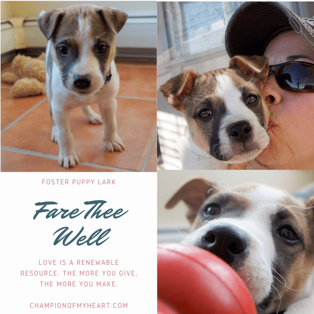 Lark farewell post 2-10-2020