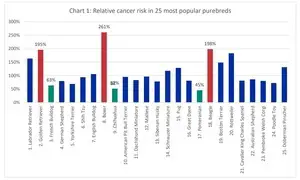 canine cancer risk data - top 25 breeds relative risk