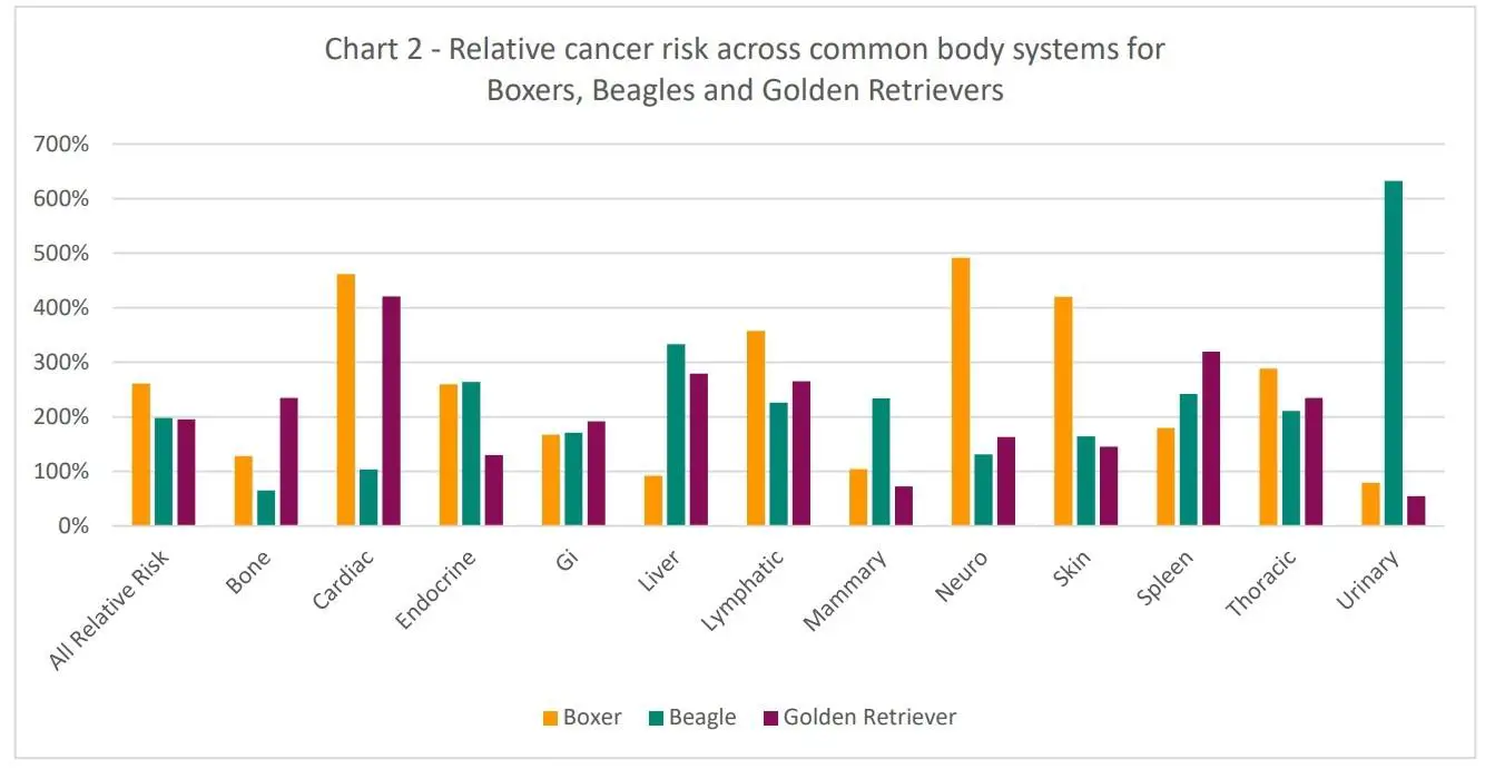canine cancer risk  data - chart of top 3 breeds by body system
