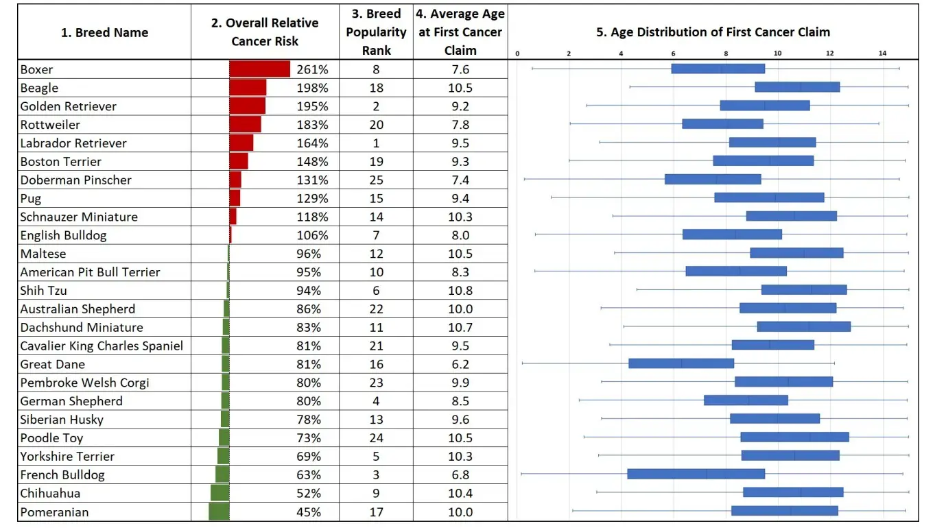 canine cancer risk  data - main chart of top 25 breeds with relative cancer risk and age of first claim
