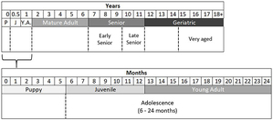 dog's age table for post about the new categories