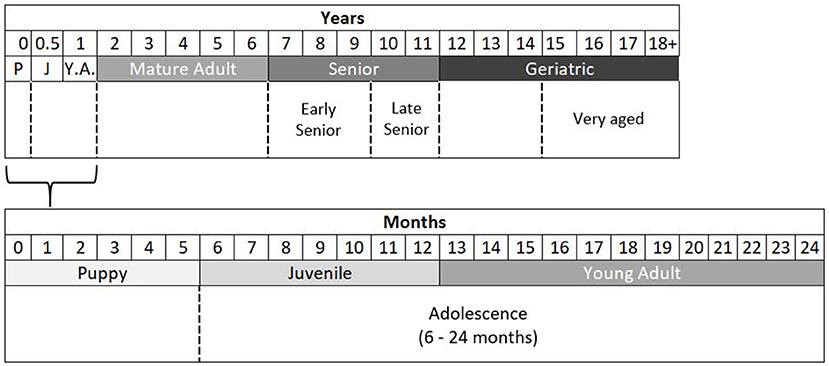 dogs age table for post about the new categories