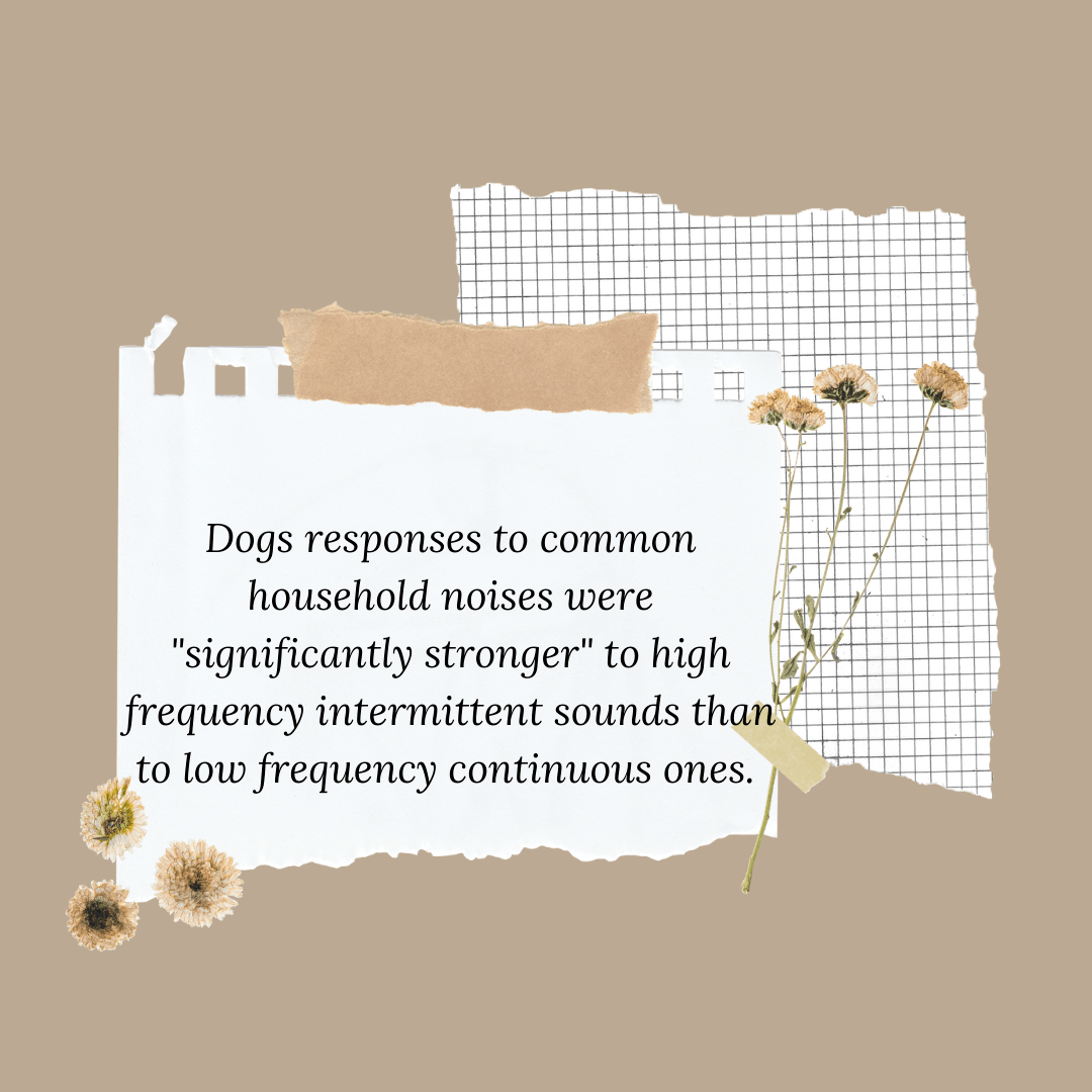 common household noises affect dogs - quote graphic 3 (same text is in the online article)