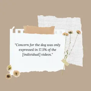 common household noises affect dogs - quote graphic 4 (same text is in the online article)