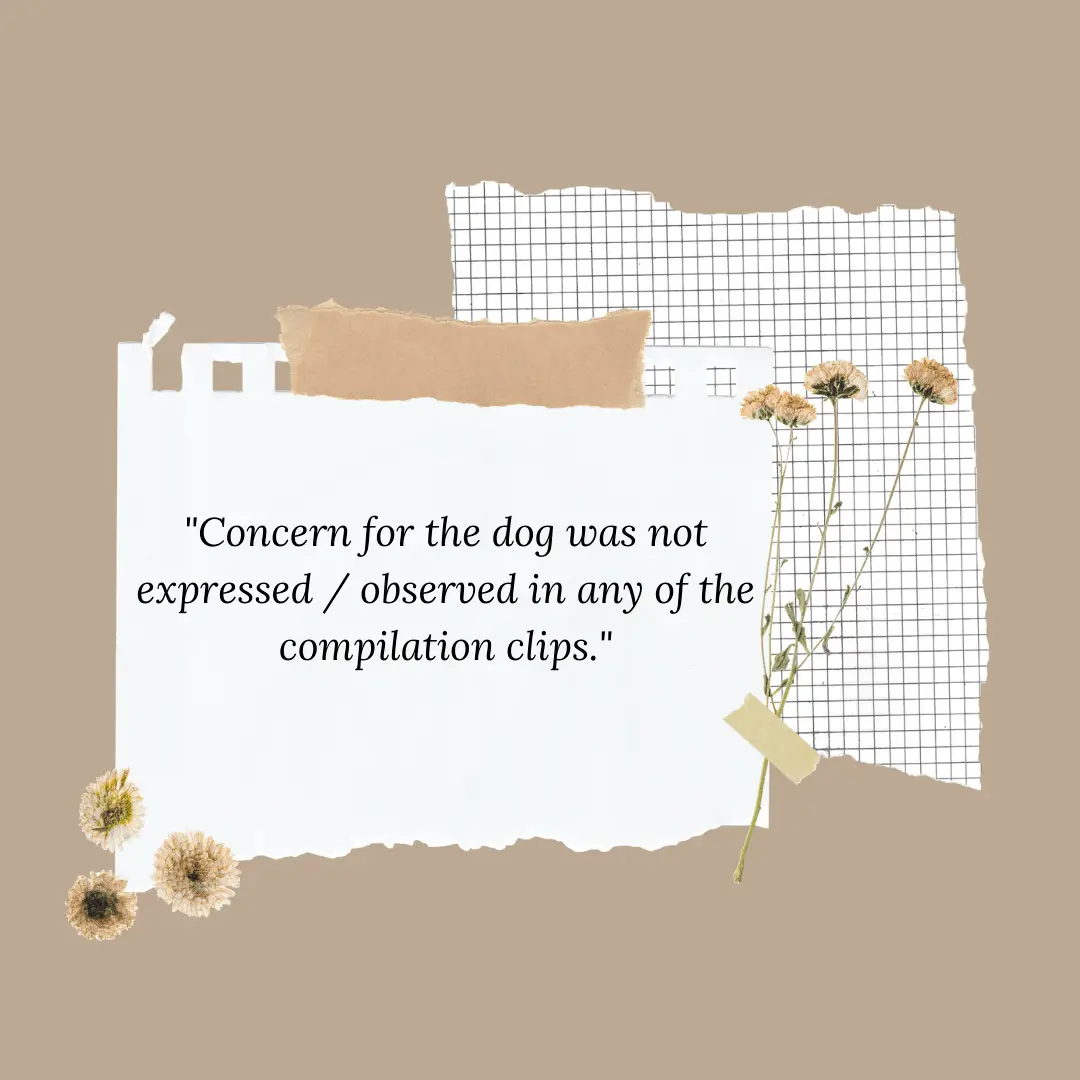 common household noises affect dogs - quote graphic 5 (same text is in the online article)