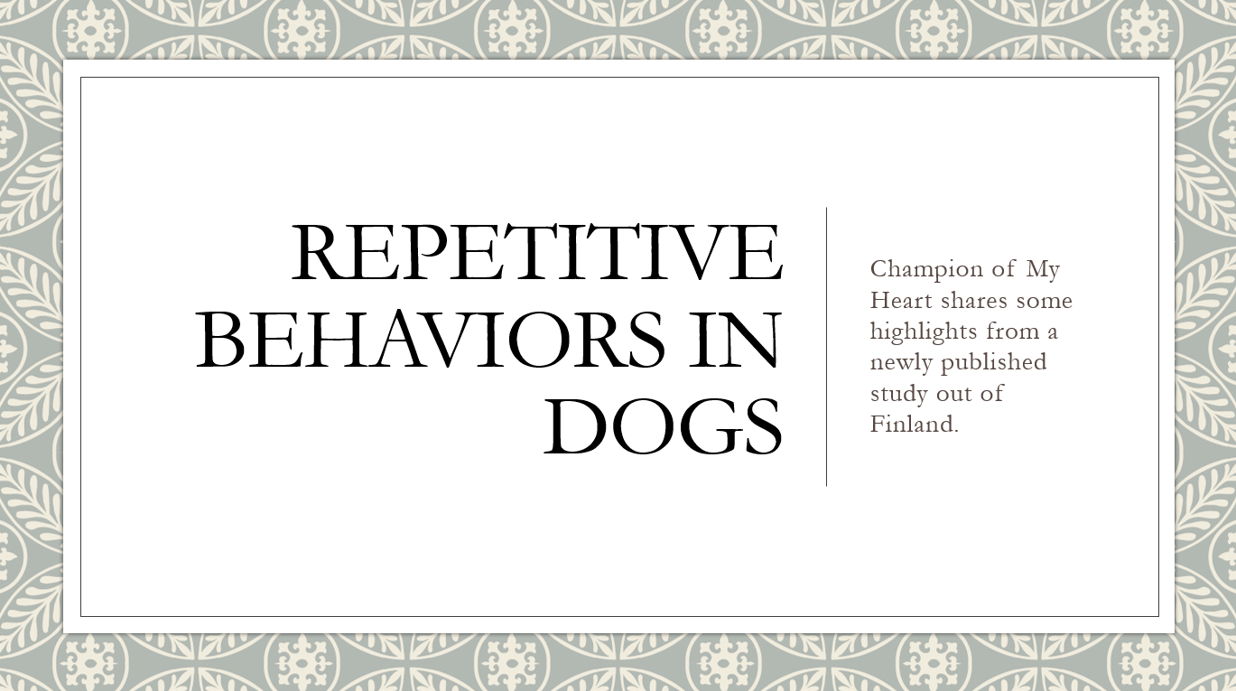 Repetitive behaviors in dogs