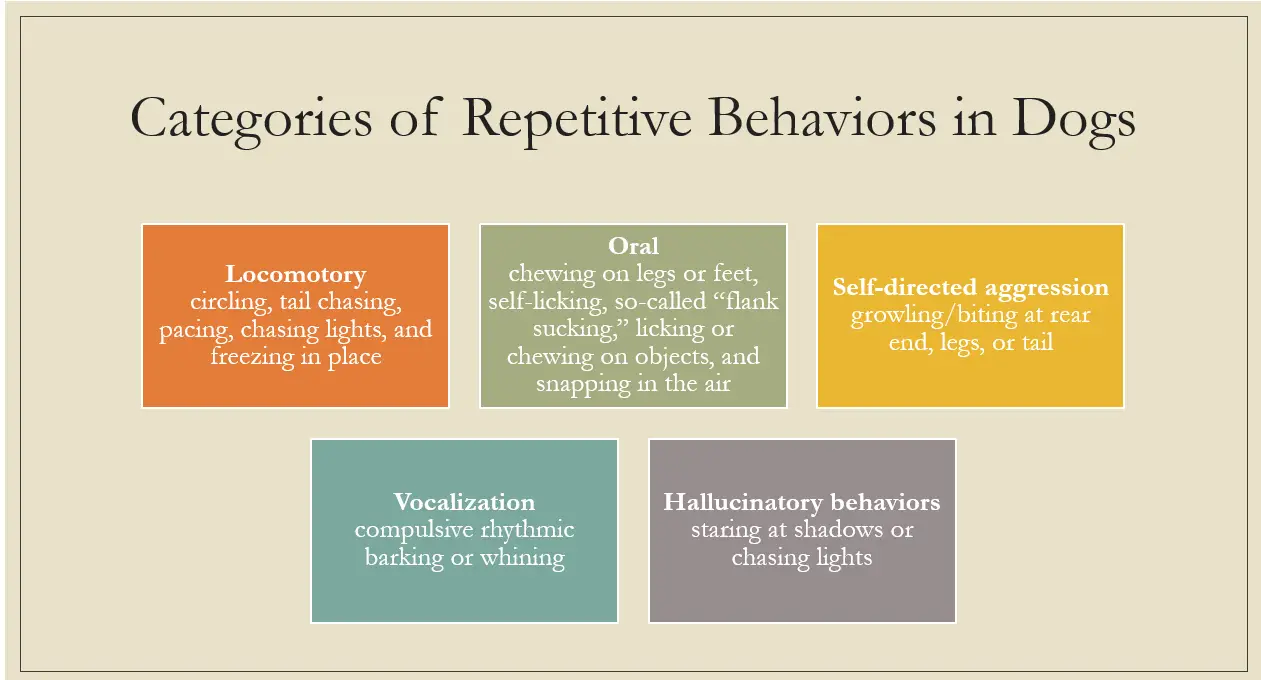 types of compulsive dog behaviors