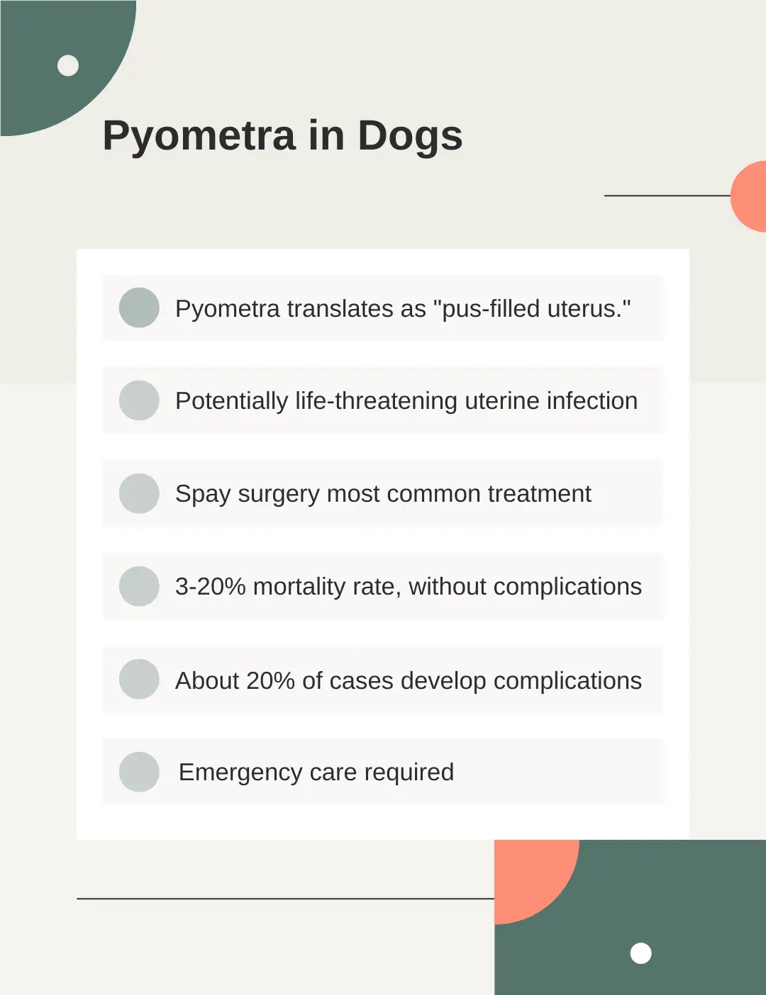 pyometra in dogs stats graphic