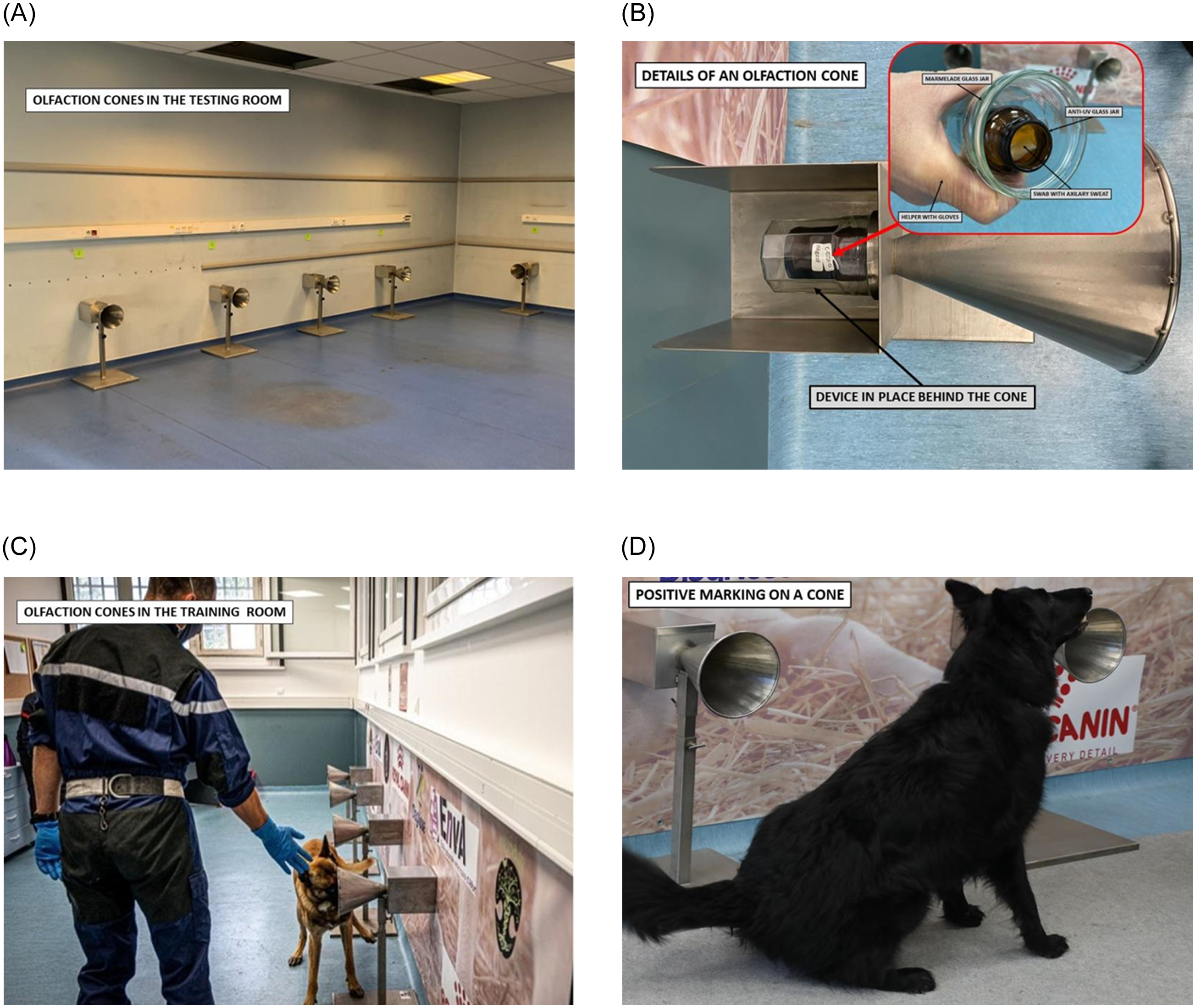 dogs detecting COVID research room set-up photos