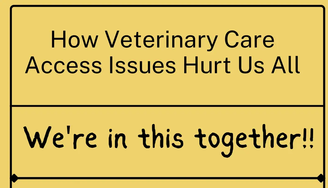 veterinary access issues graphic - just the headline