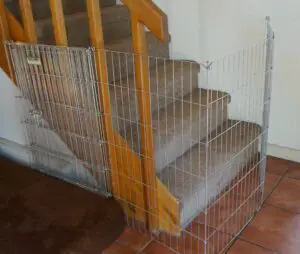 foster puppy set up - photo of x-pen blocking carpeted stairs