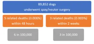 dog anesthesia risks data - showing8 deaths among 89,852 spay/neuter surgeries