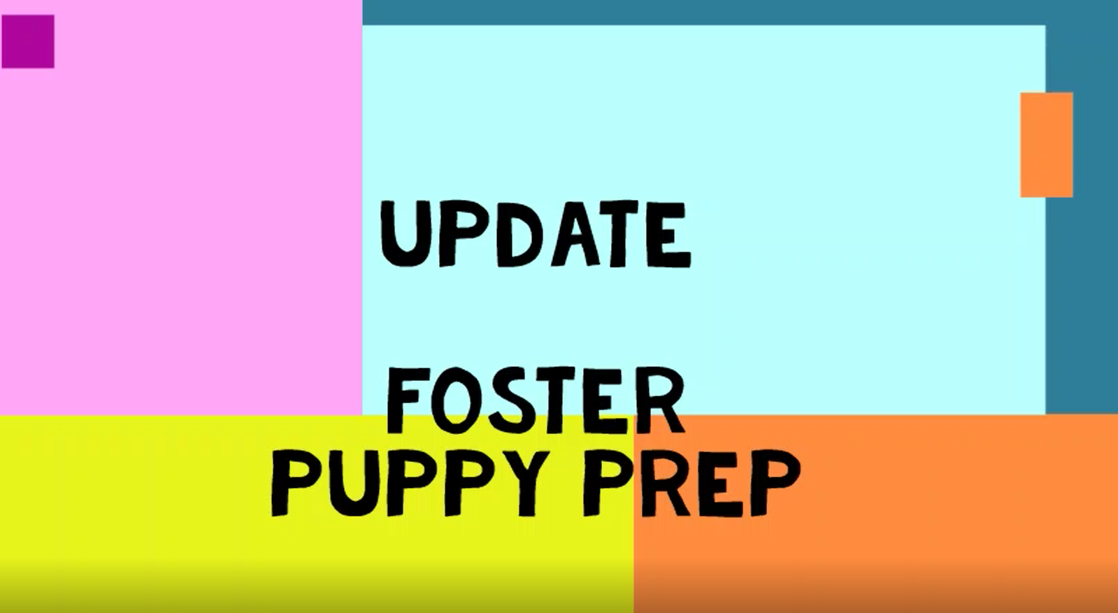 foster puppy example