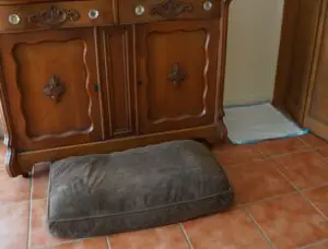 foster puppy set up - photo of wood furniture with the bottom blocked off by a dog bed