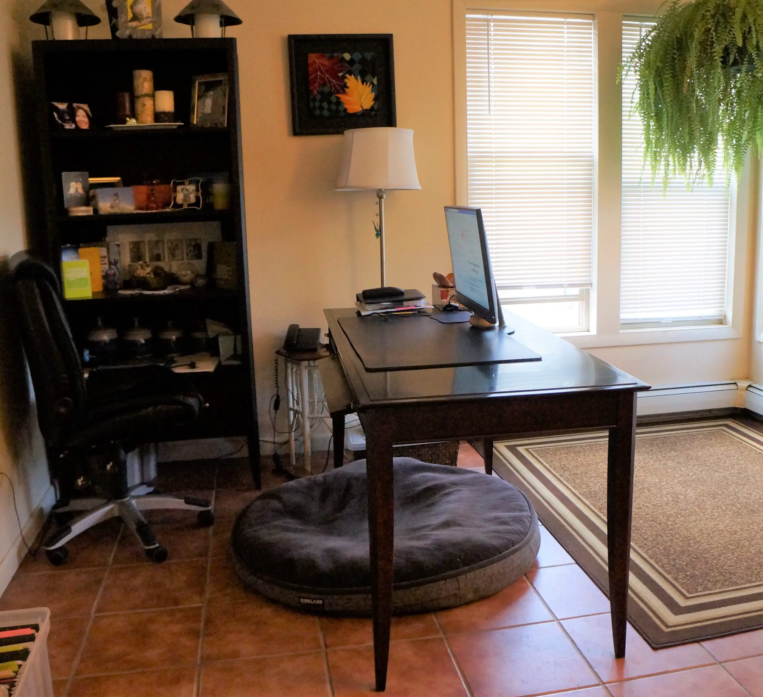 foster puppy set up - photo showing home office with desk, bookshelves, and area rug on the floor