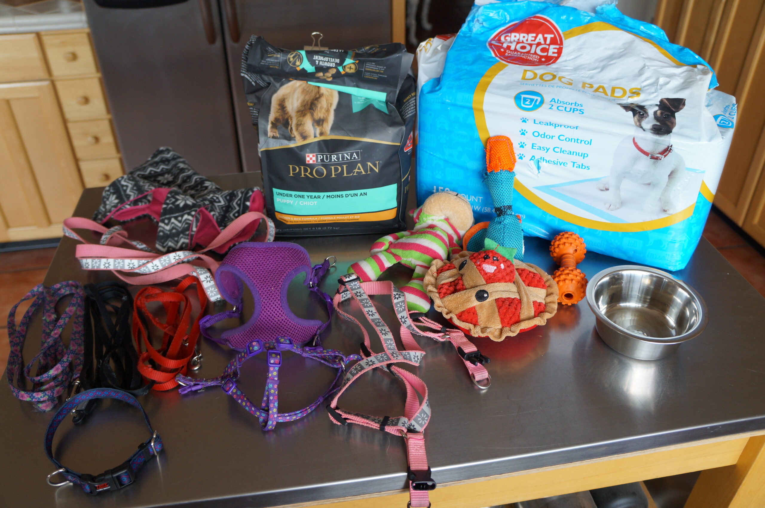 foster puppy set up - photo of supplies such as leashes, harnesses, toys, bowl, potty pads and food
