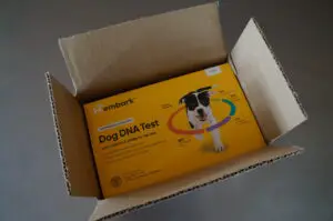 kit for getting dog dna rest results 