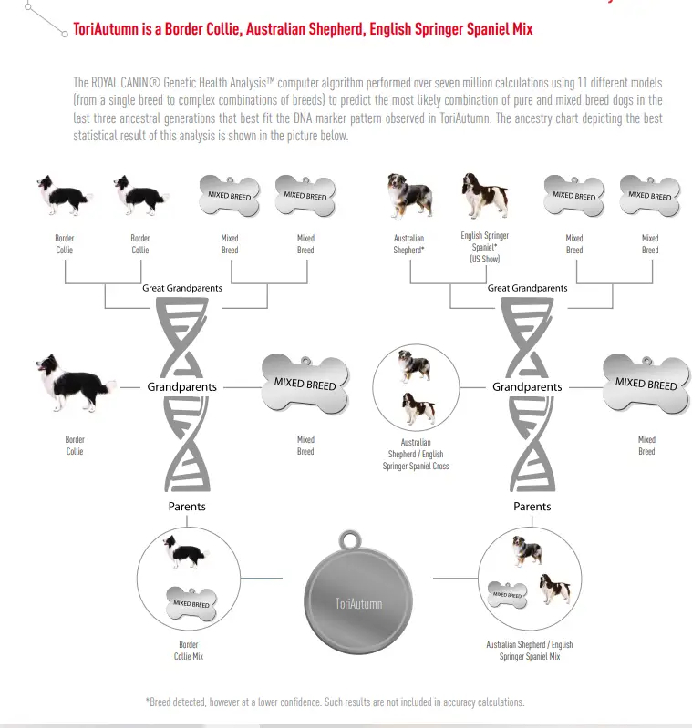 dog dna test results from royal canin 2016