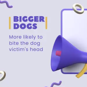 graphic that says based on a study that bigger dogs are more likely to bite the dog victim's head