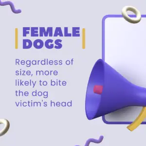 graphic that says based on a study that female dogs of all sizes are more likely to bite the dog victim's head
