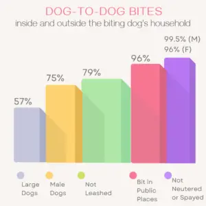 bar chart showing that most dogs that bite other dogs are not spayed or neutered (99.5-96%), 96% bit dogs in public, 79% were not leashed, 75% were male dogs, and 57% were large dogs