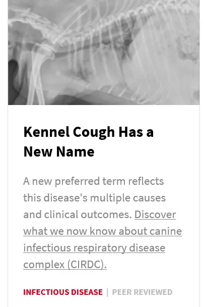 coughing dogs article thumbnail Kennel cough has a new name