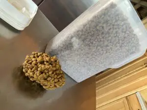 dog not eating photo showing a clump of dog food stuck together on a metal table in front of a see-thru container of dog food with kitchen cabinets behind