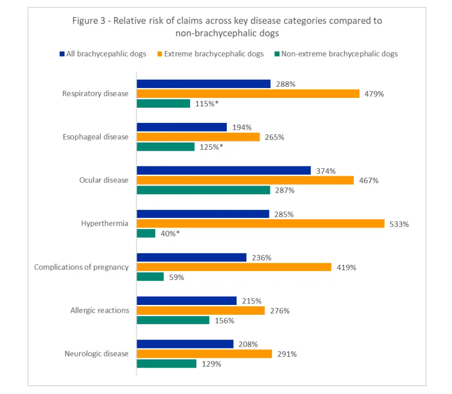 french bulldogs disaster chart 1 showing risk of various diseases compared to non-brachycephalic breeds