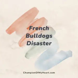 french bulldogs post main graphic