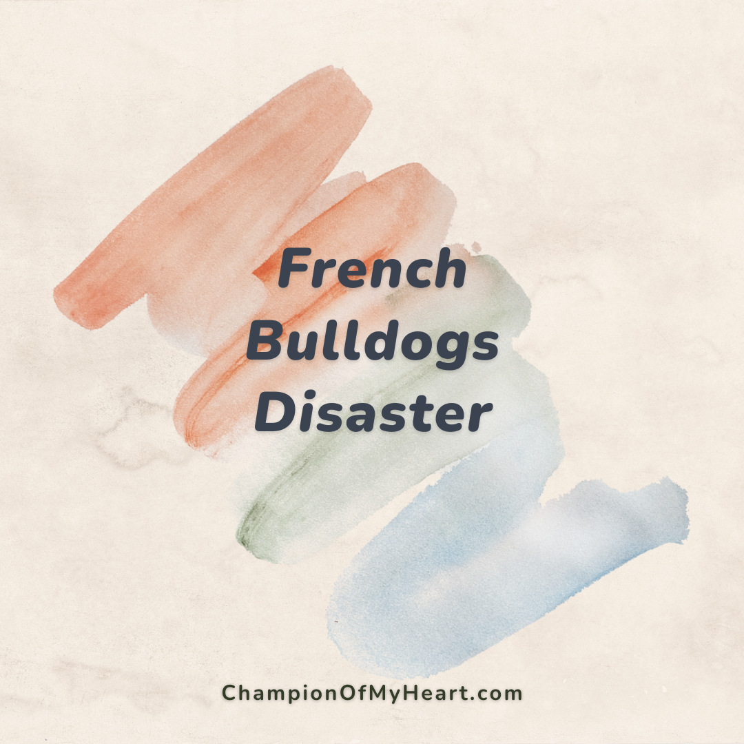 french bulldogs post main graphic