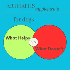 arthritis supplements for dogs what helps vs what doesn't graphic