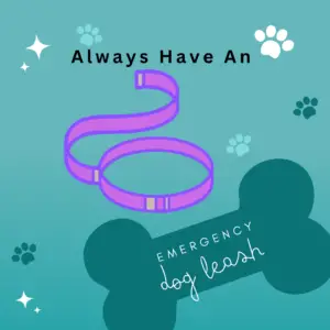 emergency dog leash graphic