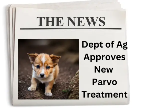 new parvo treatment newspaper graphic (small)