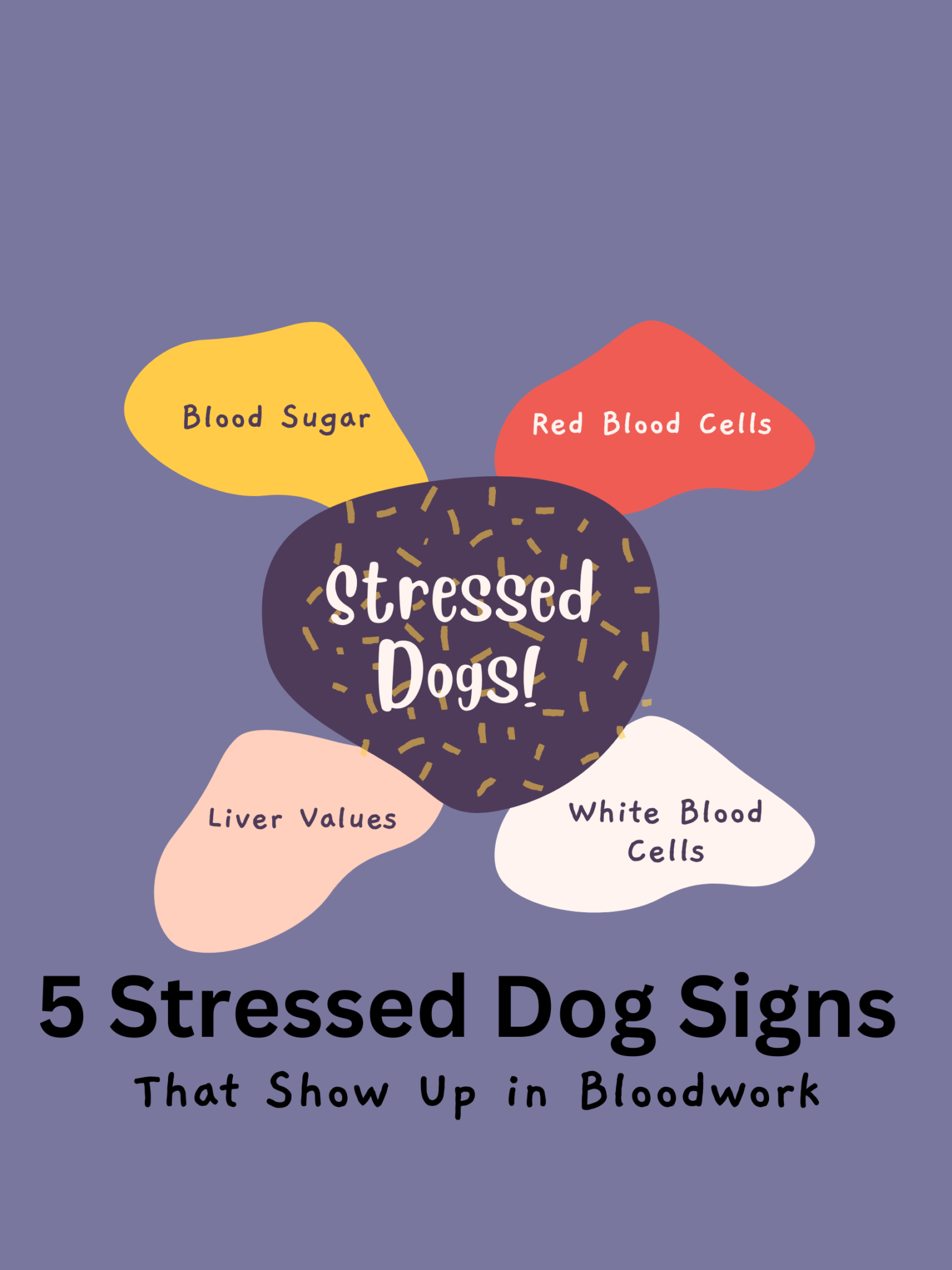 stressed-dog-signs-5-that-show-up-in-bloodwork-champion-of-my-heart